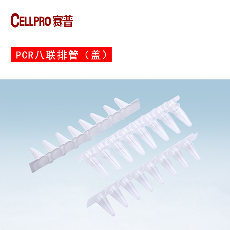 赛普生物PCR八连管 赛普生物PCR八连管